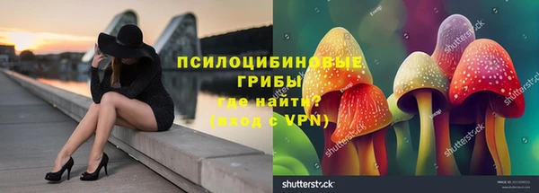 крисы Абинск