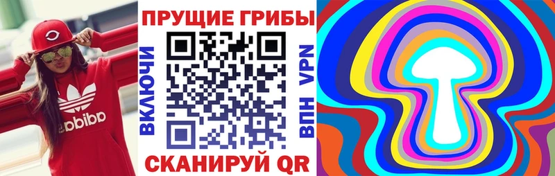 мориарти официальный сайт  Саянск  Псилоцибиновые грибы Psilocybe 
